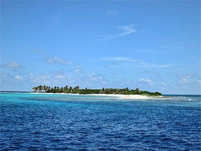 sailing grenadines palm island